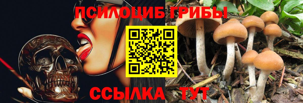 Кирово-Чепецк  Псилоцибиновые грибы мухоморы  где купить наркотик  Вход с VPN 